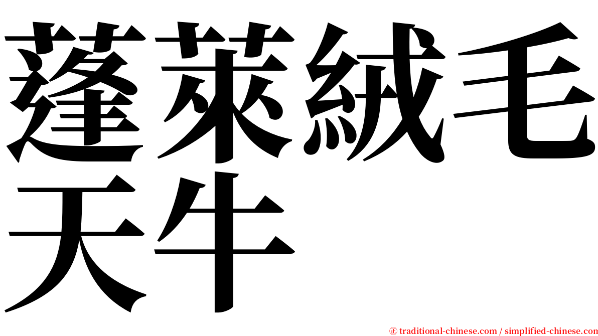 蓬萊絨毛天牛 serif font