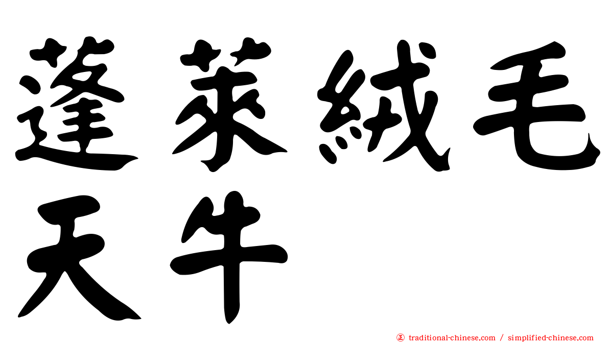 蓬萊絨毛天牛