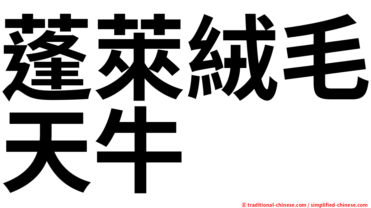 蓬萊絨毛天牛