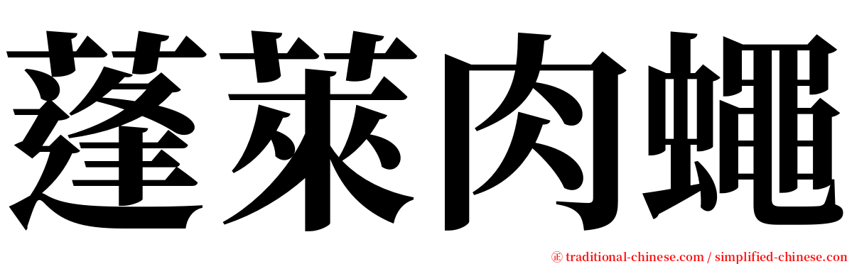 蓬萊肉蠅 serif font