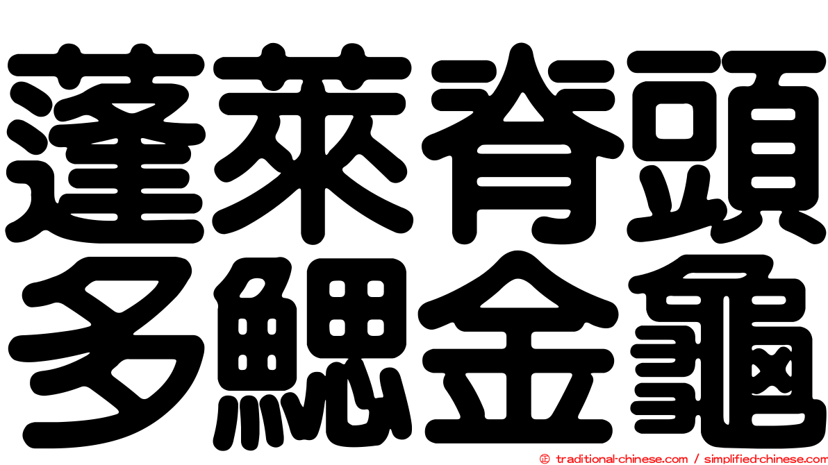 蓬萊脊頭多鰓金龜