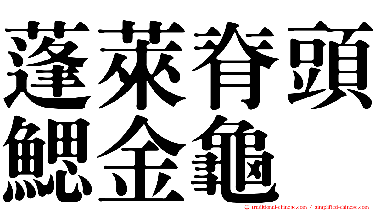 蓬萊脊頭鰓金龜