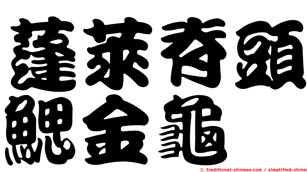 蓬萊脊頭鰓金龜