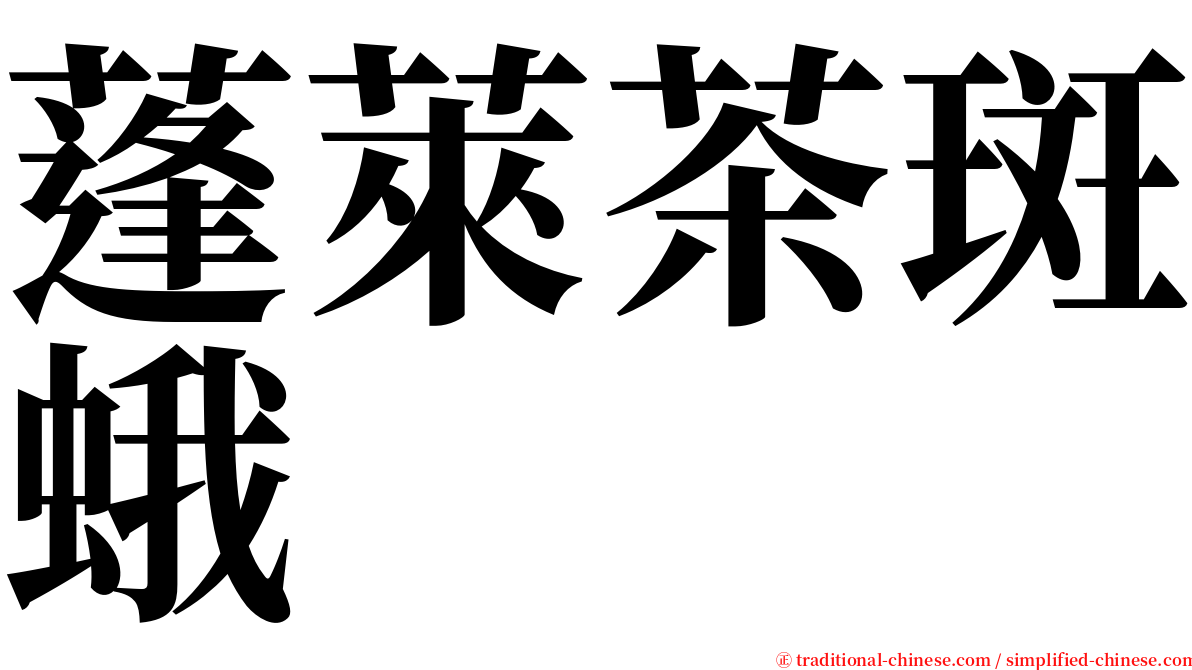 蓬萊茶斑蛾 serif font