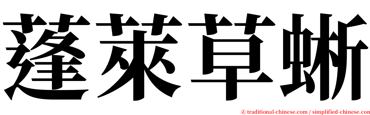 蓬萊草蜥 serif font