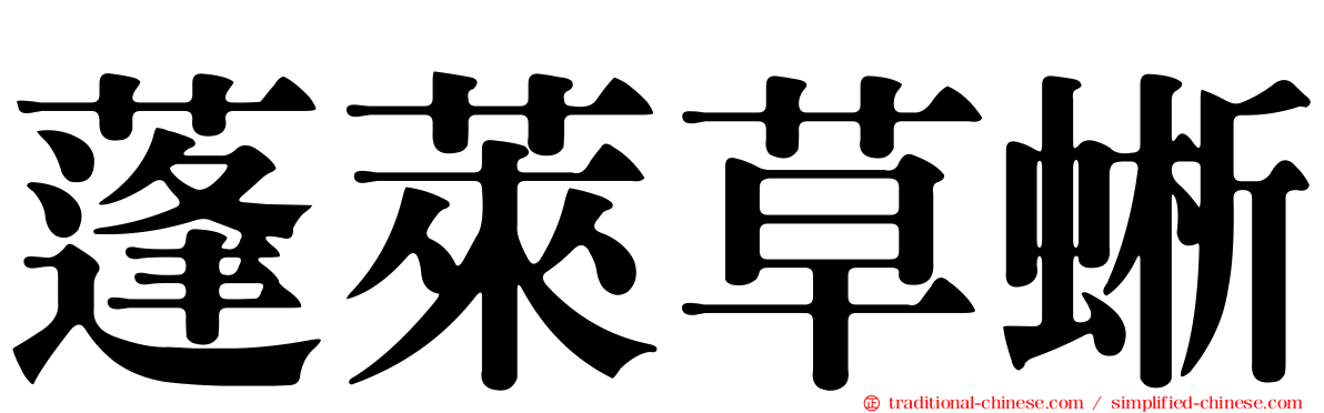 蓬萊草蜥