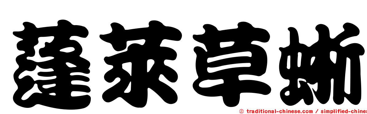 蓬萊草蜥