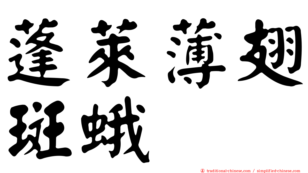 蓬萊薄翅斑蛾