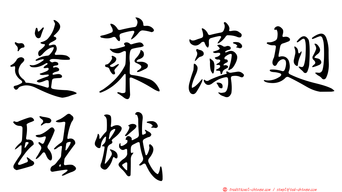 蓬萊薄翅斑蛾