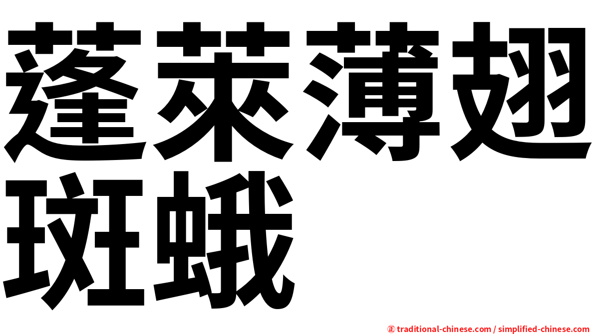 蓬萊薄翅斑蛾