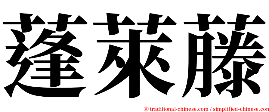 蓬萊藤 serif font