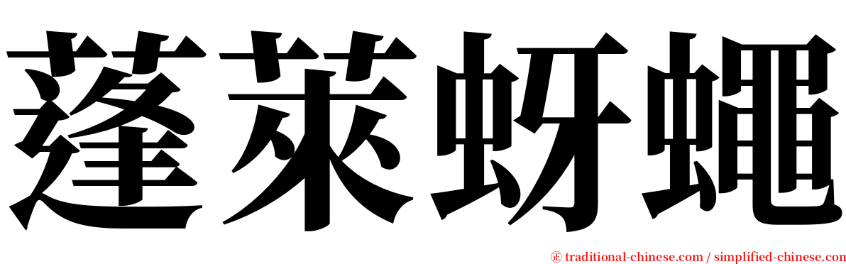 蓬萊蚜蠅 serif font