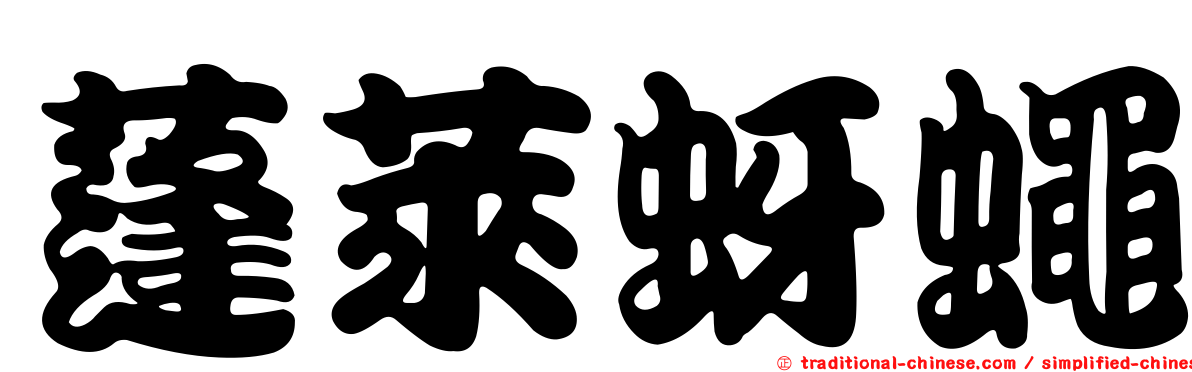 蓬萊蚜蠅