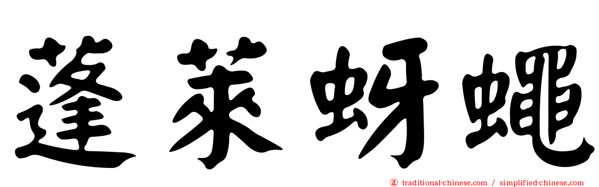 蓬萊蚜蠅