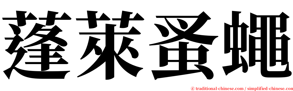蓬萊蚤蠅 serif font
