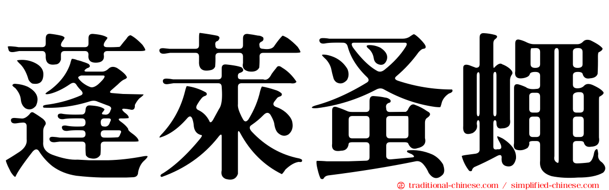 蓬萊蚤蠅
