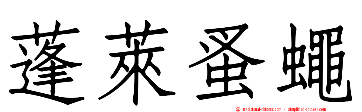 蓬萊蚤蠅
