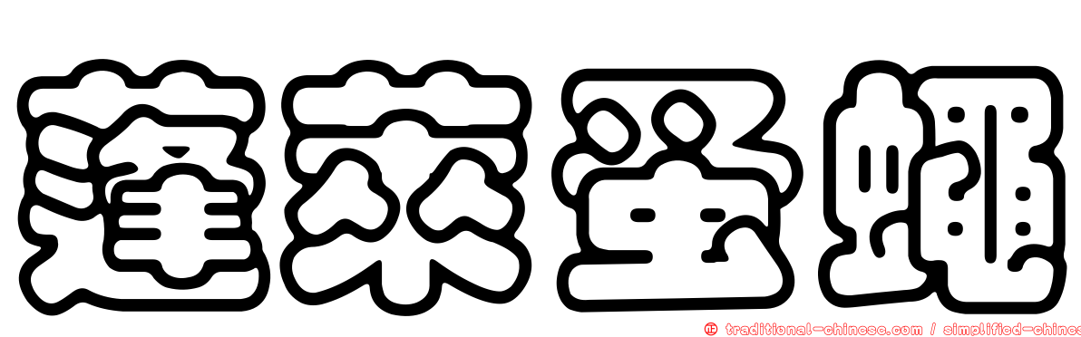 蓬萊蚤蠅