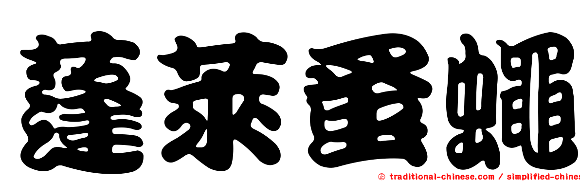 蓬萊蚤蠅