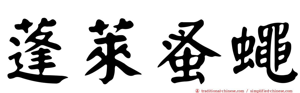 蓬萊蚤蠅