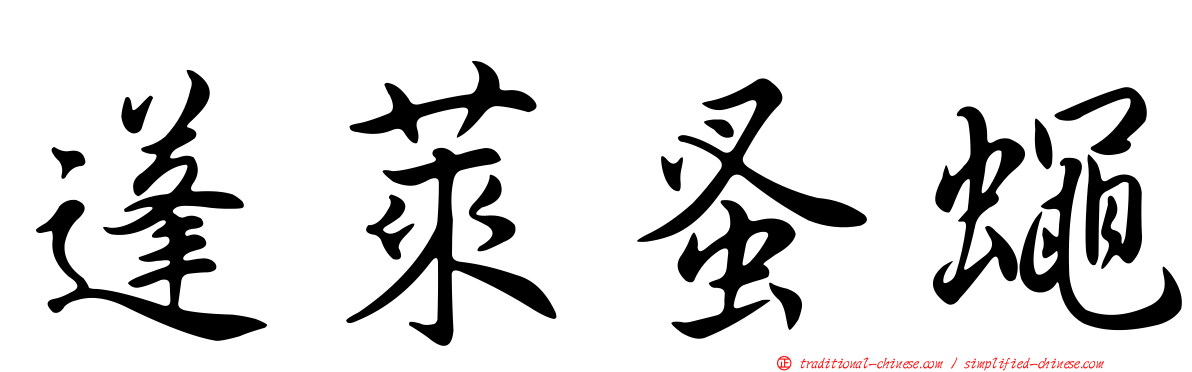 蓬萊蚤蠅