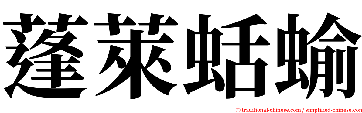 蓬萊蛞蝓 serif font
