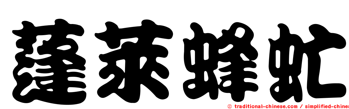蓬萊蜂虻