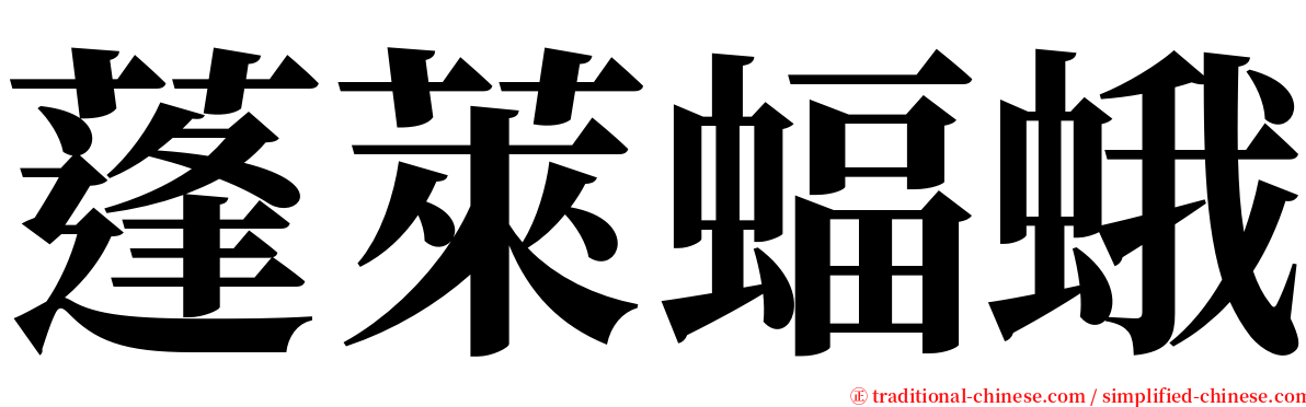 蓬萊蝠蛾 serif font