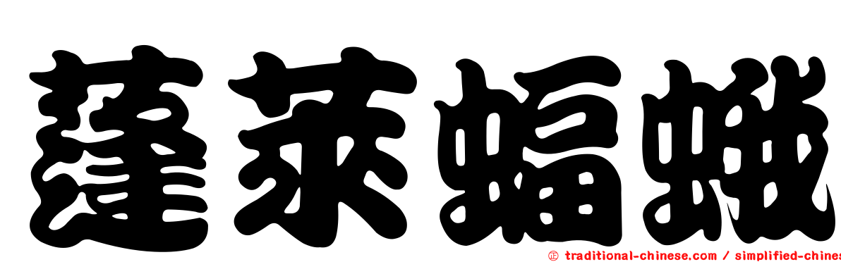 蓬萊蝠蛾