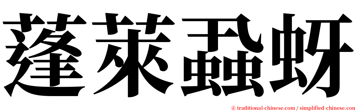 蓬萊蝨蚜 serif font