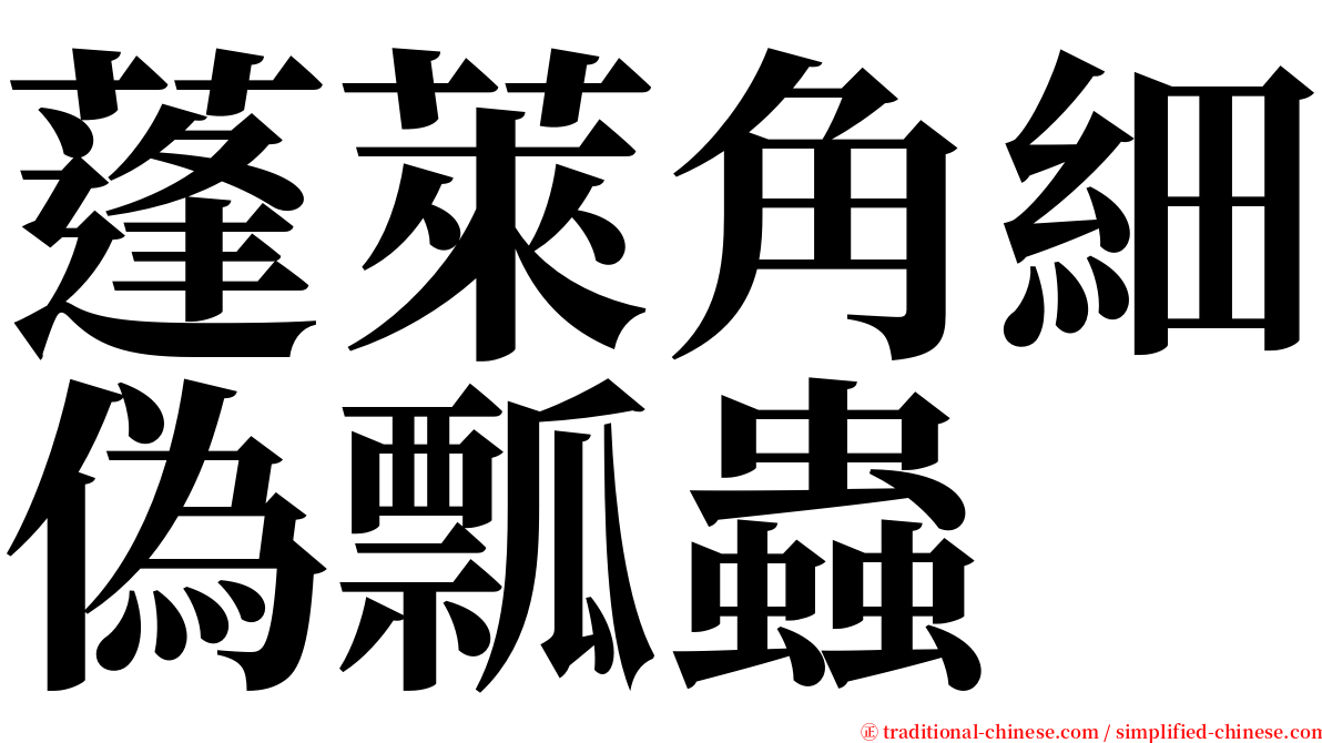 蓬萊角細偽瓢蟲 serif font