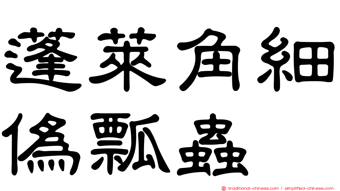 蓬萊角細偽瓢蟲