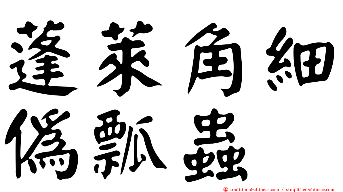 蓬萊角細偽瓢蟲