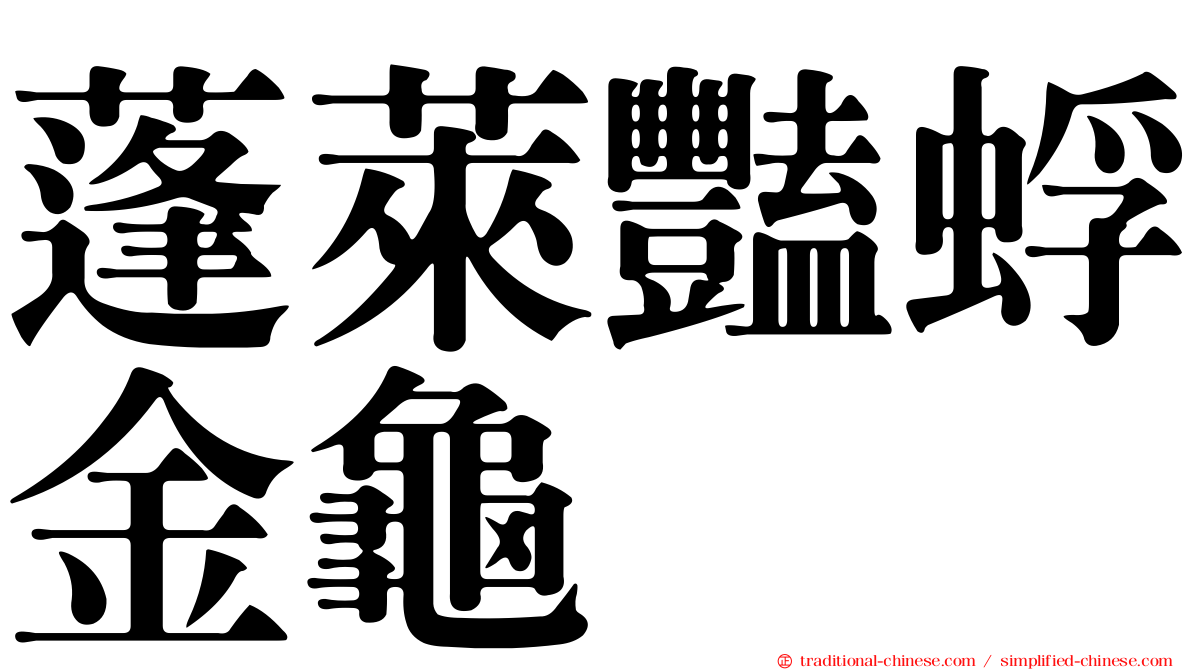 蓬萊豔蜉金龜