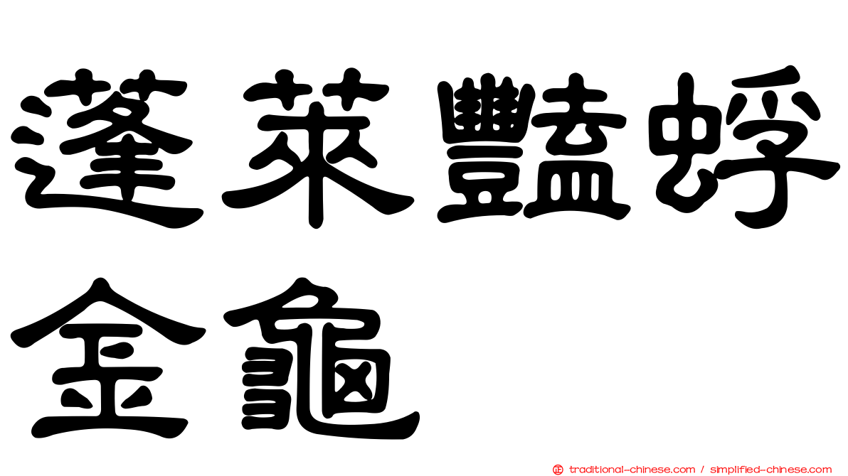 蓬萊豔蜉金龜