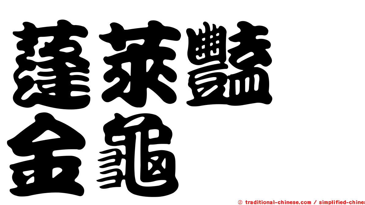 蓬萊豔蜉金龜