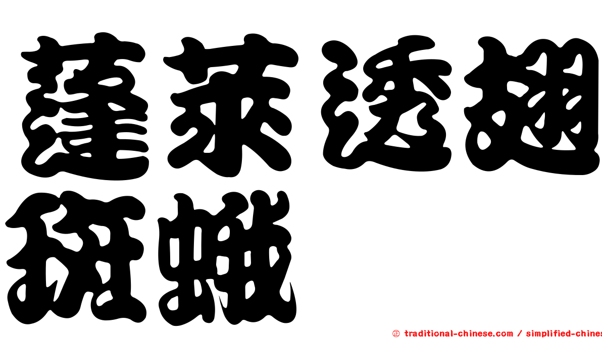 蓬萊透翅斑蛾
