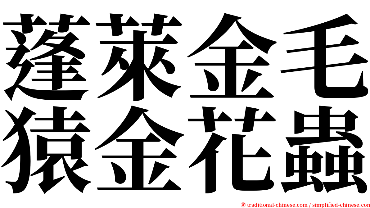 蓬萊金毛猿金花蟲 serif font