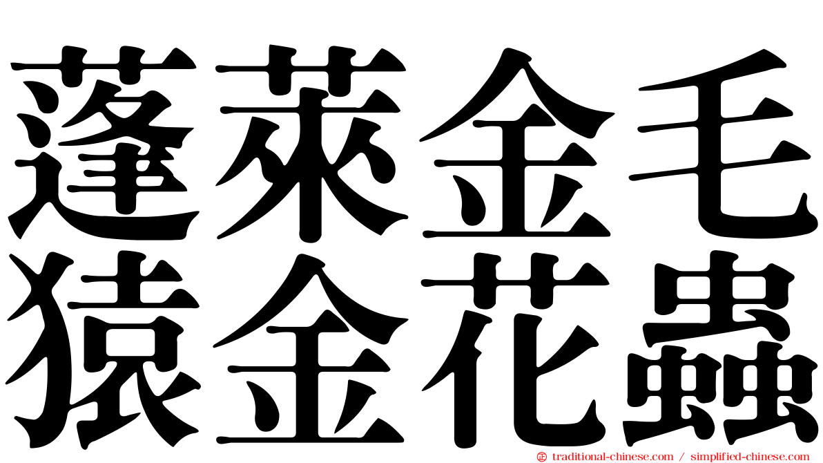 蓬萊金毛猿金花蟲