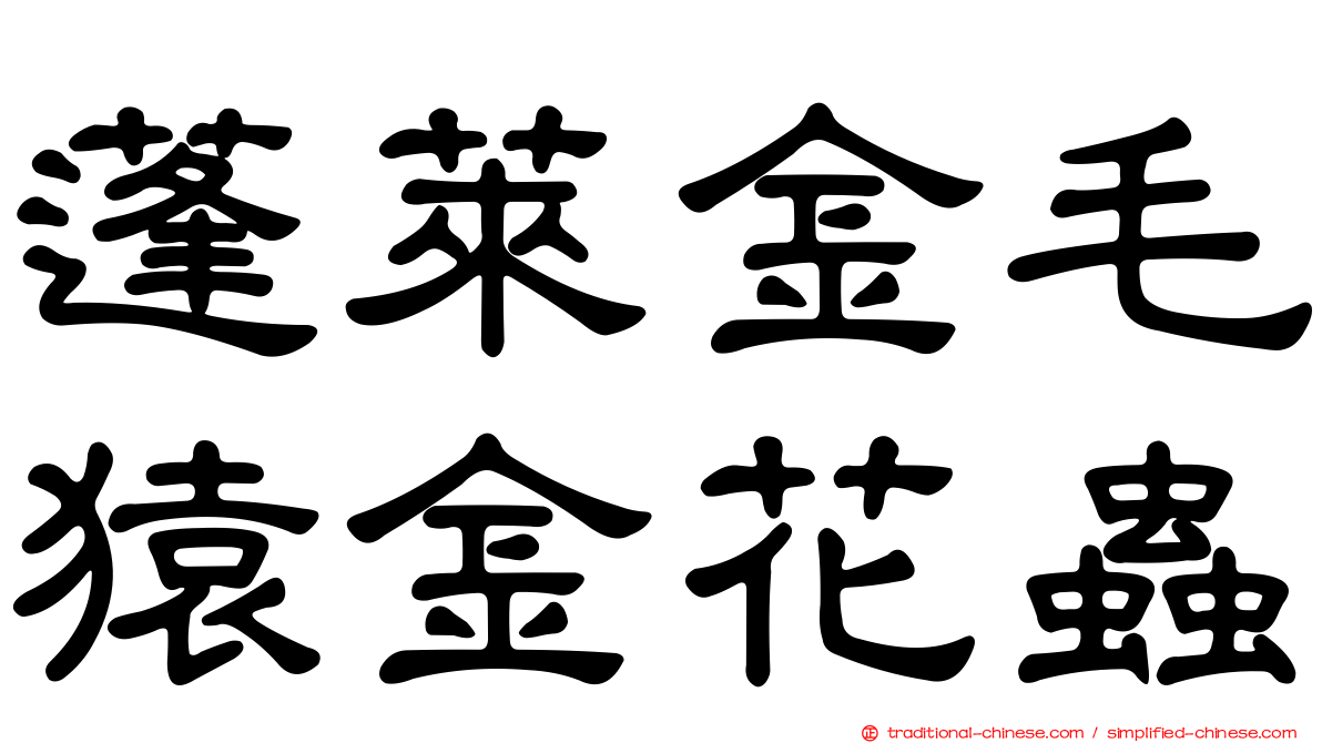 蓬萊金毛猿金花蟲