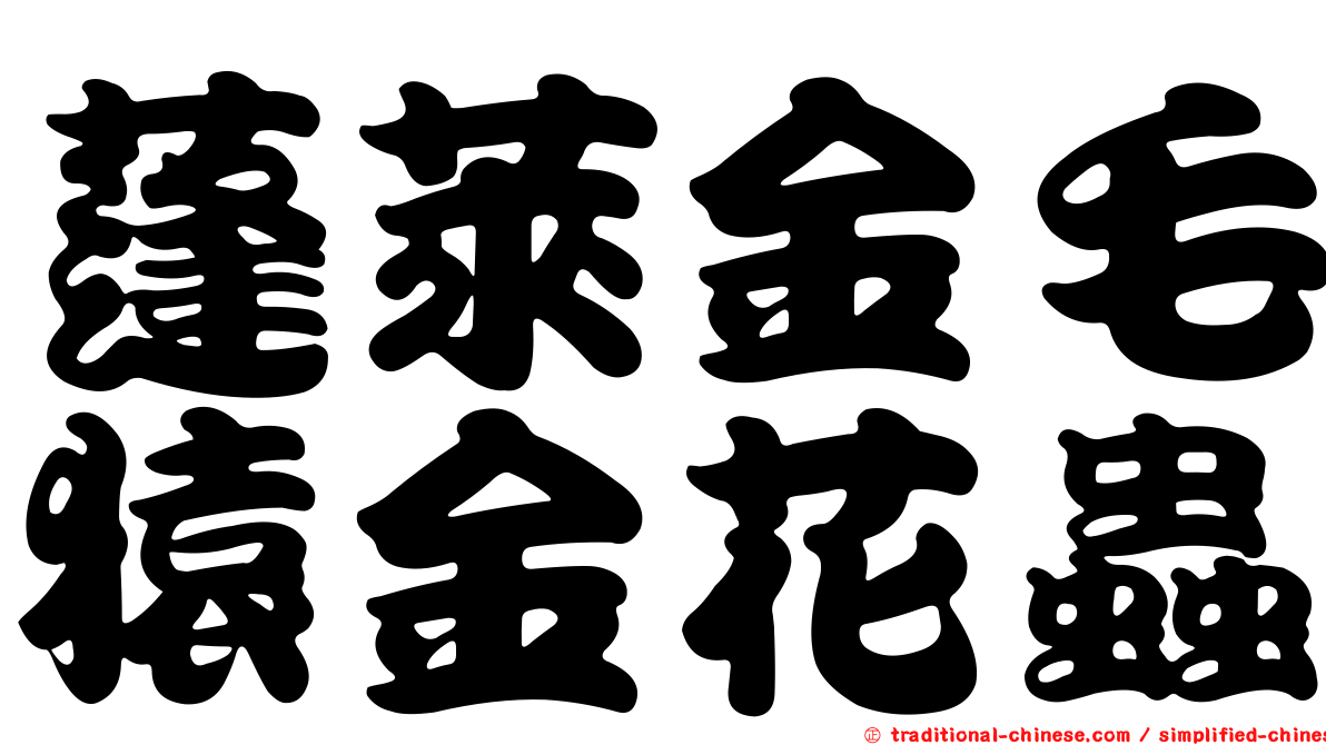 蓬萊金毛猿金花蟲