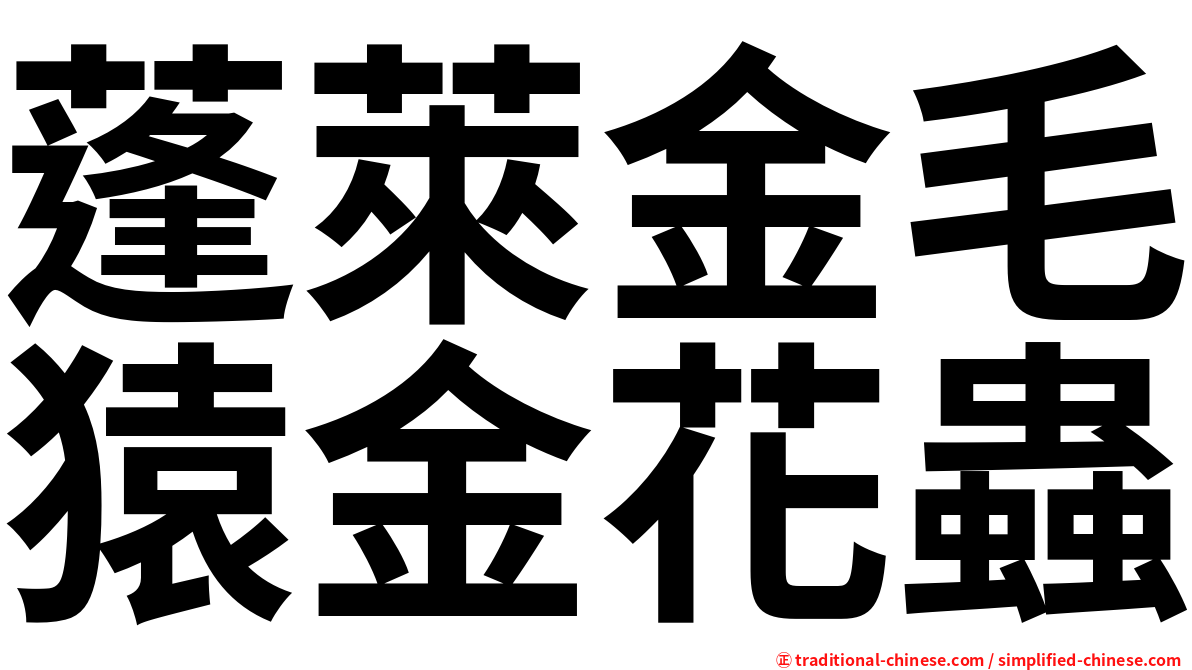 蓬萊金毛猿金花蟲