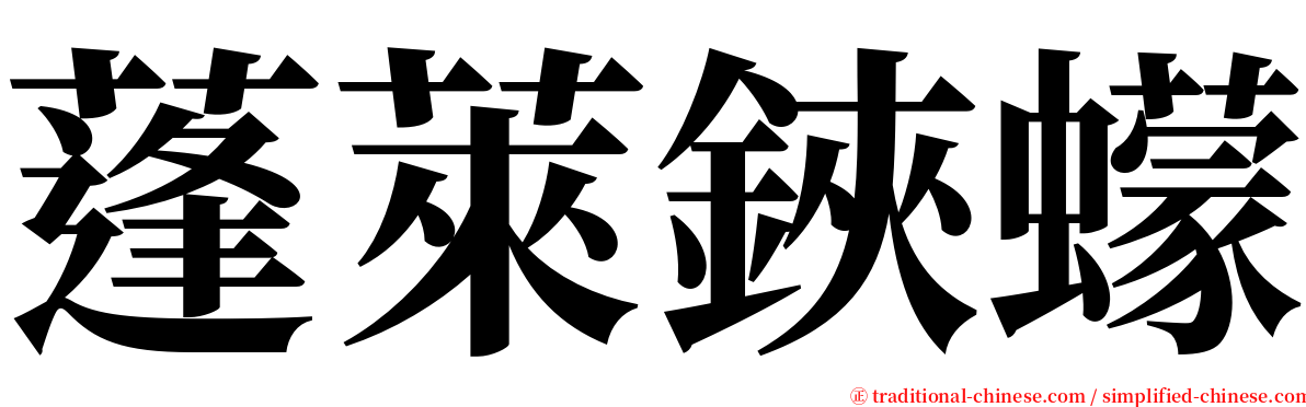 蓬萊鋏蠓 serif font