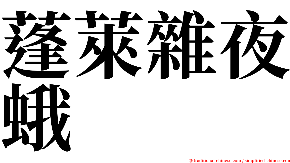 蓬萊雜夜蛾 serif font