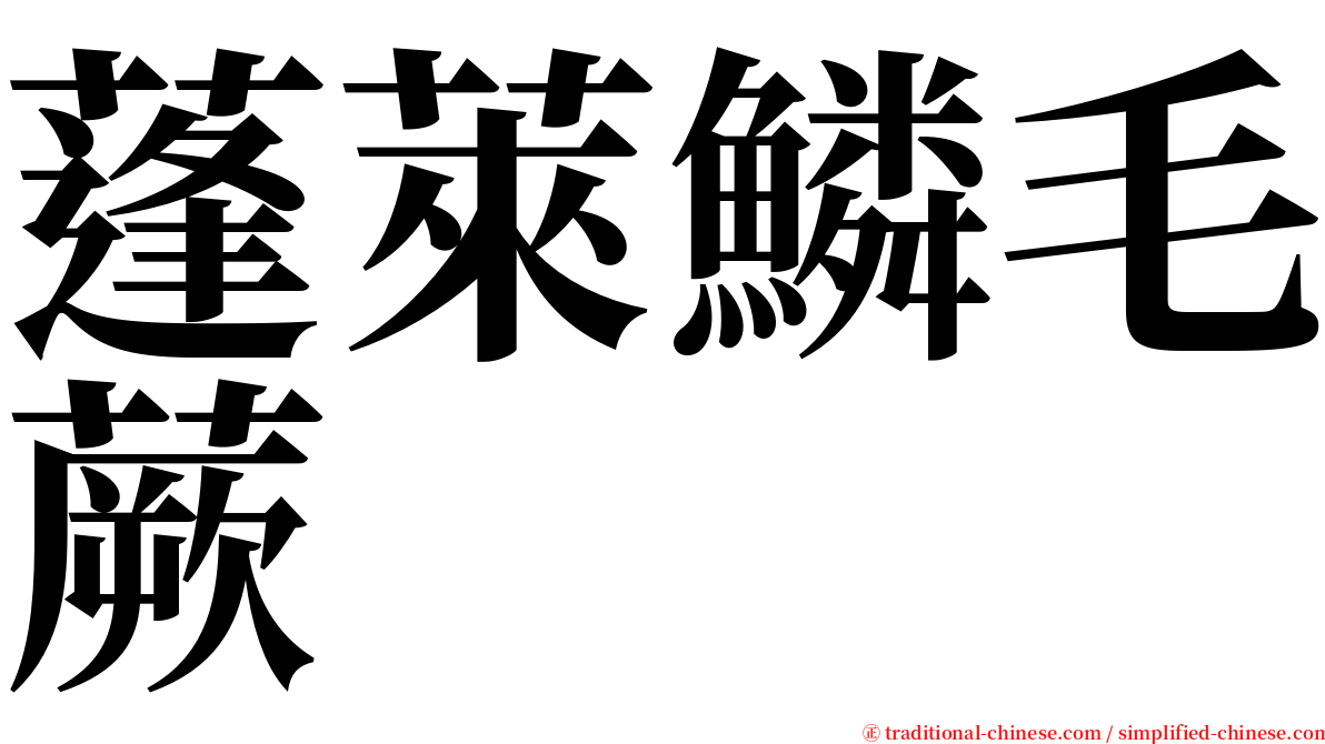 蓬萊鱗毛蕨 serif font