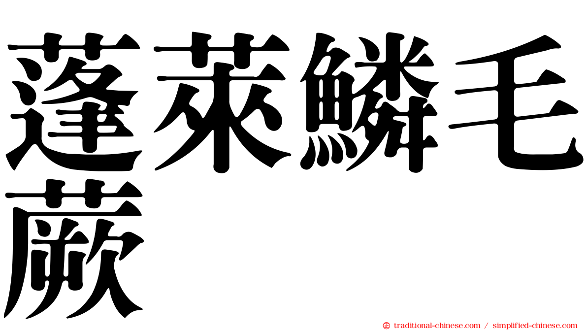 蓬萊鱗毛蕨