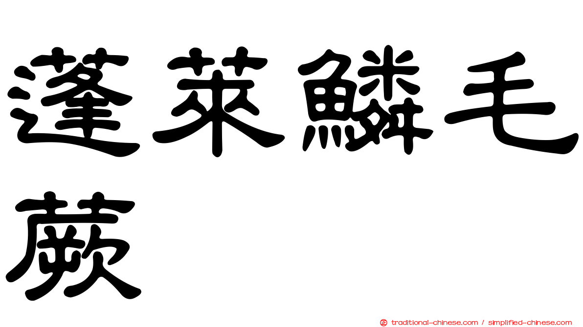 蓬萊鱗毛蕨