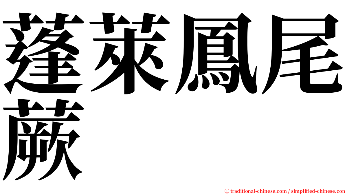 蓬萊鳳尾蕨 serif font
