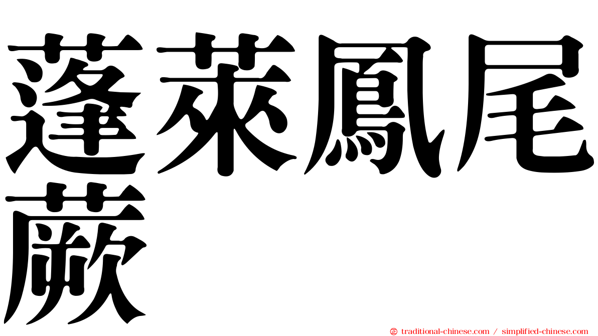 蓬萊鳳尾蕨