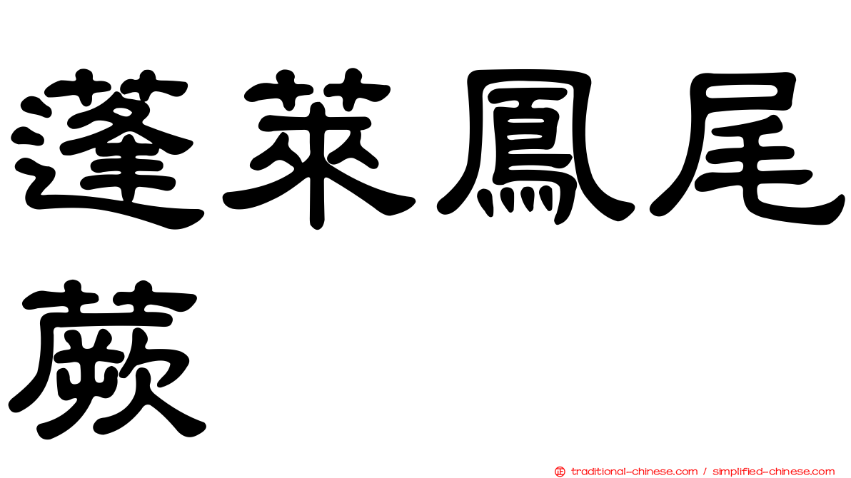 蓬萊鳳尾蕨
